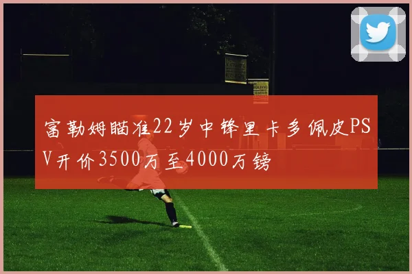 富勒姆瞄准22岁中锋里卡多佩皮PSV开价3500万至4000万镑