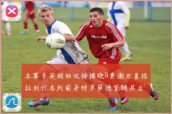 本赛季英超助攻榜揭晓B费谢尔基格拉利什名列前茅特罗萨德紧随其后